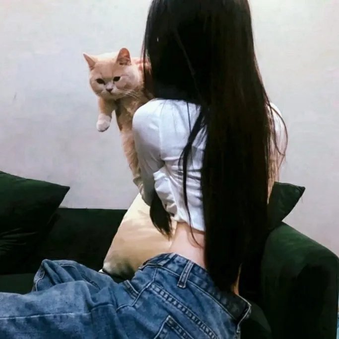 西方的密码